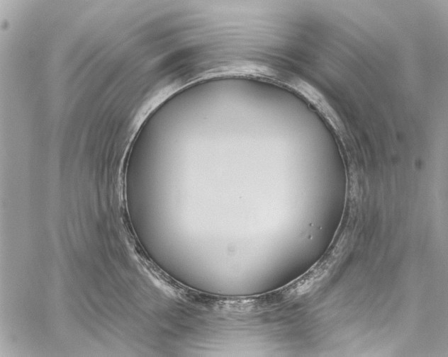 X0000060270858200511181418