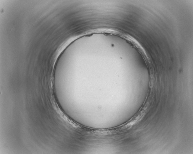 X0000060270860200511181418