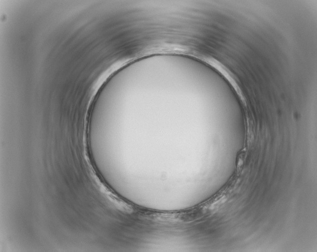 X0000060270861200511181418