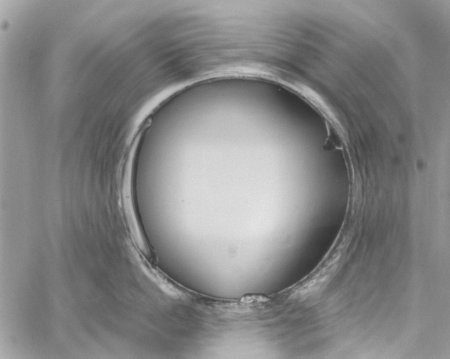 X0000060270862200511181418