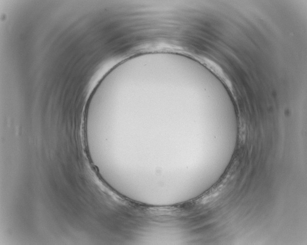 X0000060270863200511181418