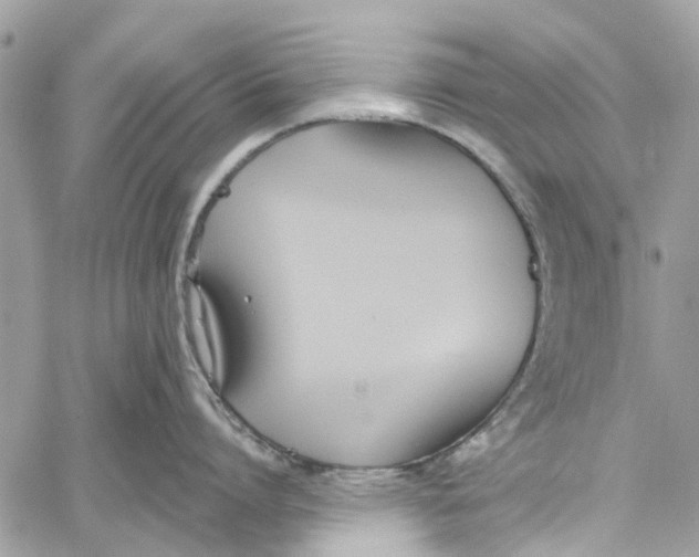 X0000060270864200511181418