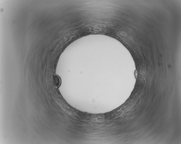 X0000060270865200511181417