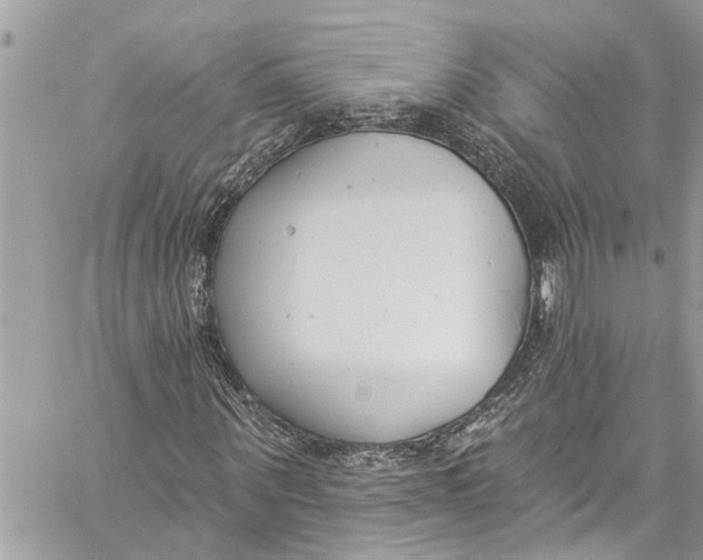 X0000060270867200511181417