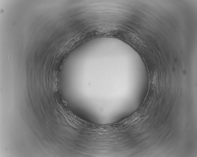 X0000060270868200511181417