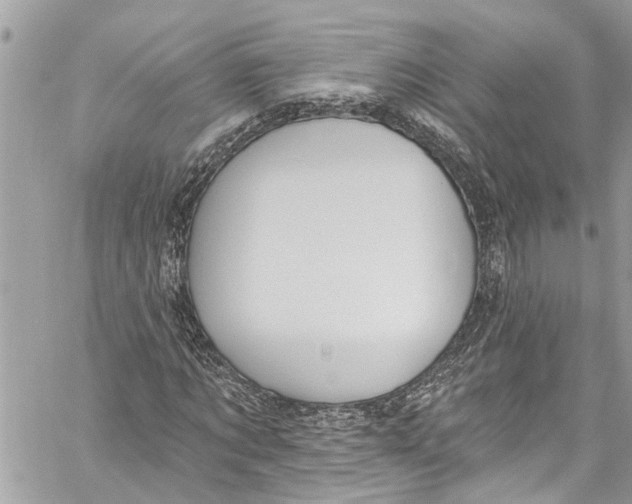 X0000060270869200511181417