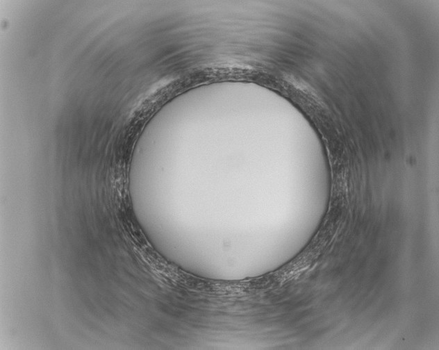 X0000060270870200511181417