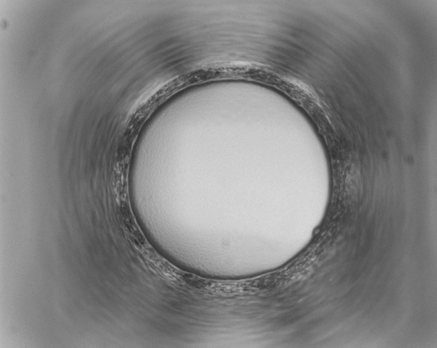 X0000060270871200511181417