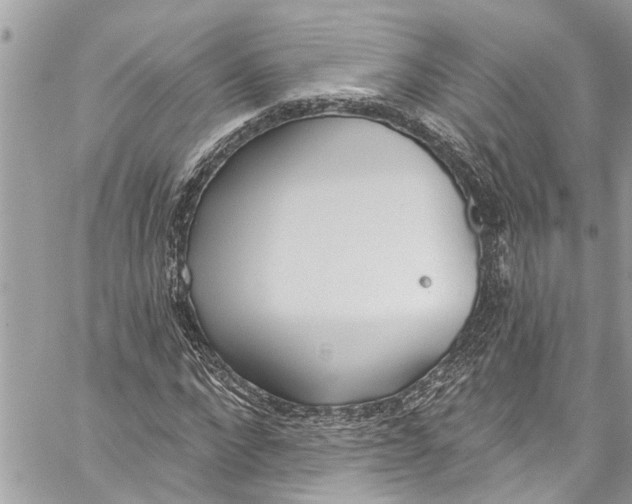 X0000060270872200511181417