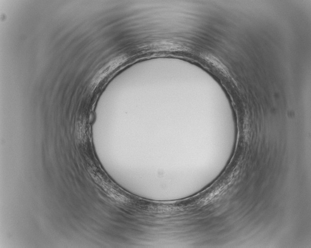 X0000060270873200511181417