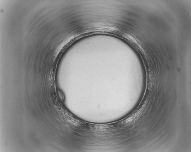 X0000060270875200511181417