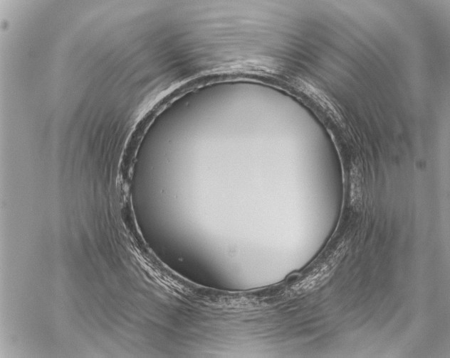 X0000060270876200511181417