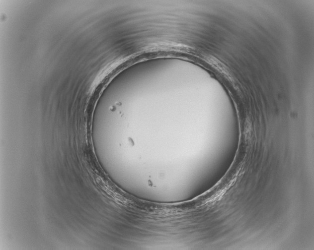 X0000060270877200511181417