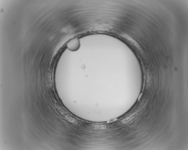 X0000060270878200511181417