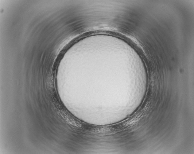 X0000060270879200511181417