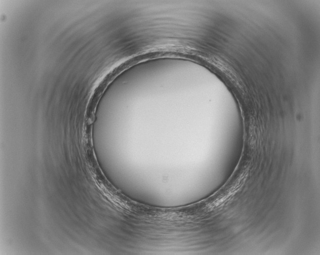 X0000060270880200511181417