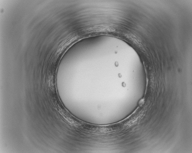 X0000060270881200511181417