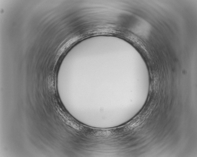 X0000060270882200511181417