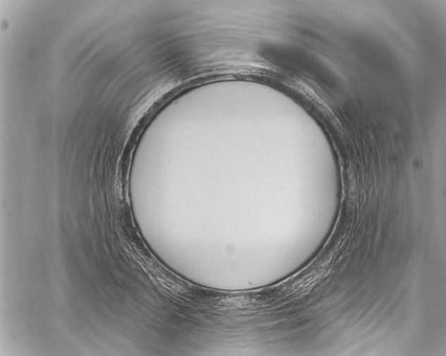 X0000060270883200511181417