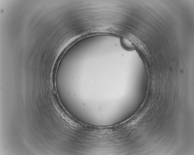 X0000060270884200511181417