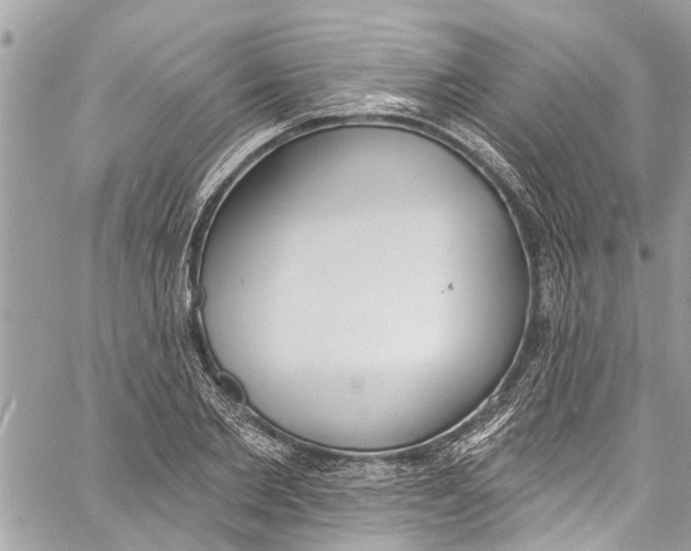 X0000060270885200511181417