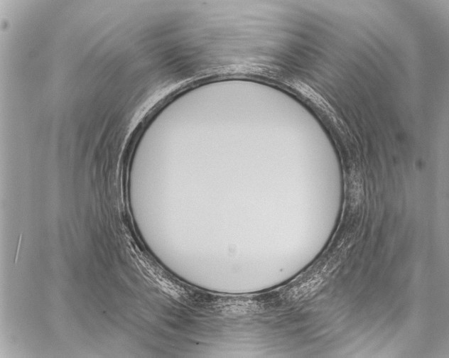 X0000060270886200511181417