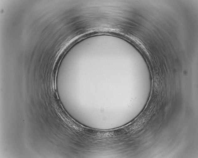 X0000060270887200511181417