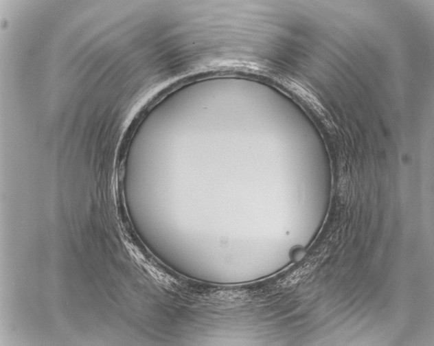 X0000060270888200511181416