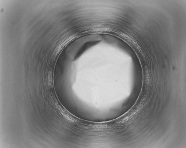 X0000060270889200511181416