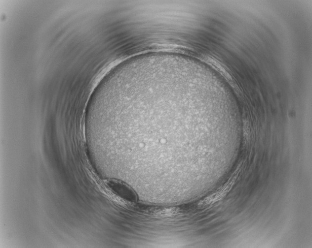 X0000060270891200511181416