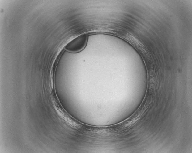 X0000060270892200511181416