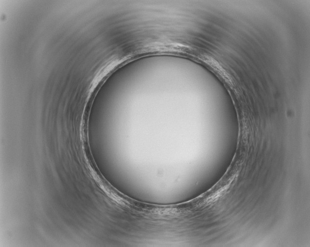 X0000060270893200511181416