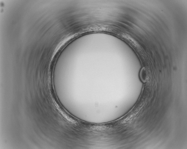 X0000060270894200511181416