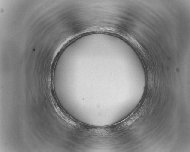 X0000060270896200511181416