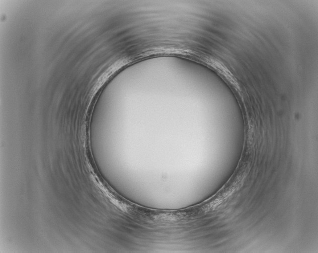 X0000060270898200511181416