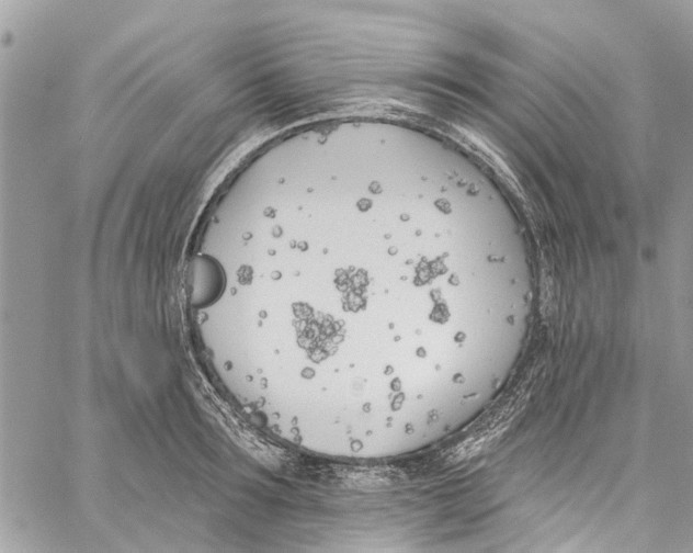 X0000060270899200511181416