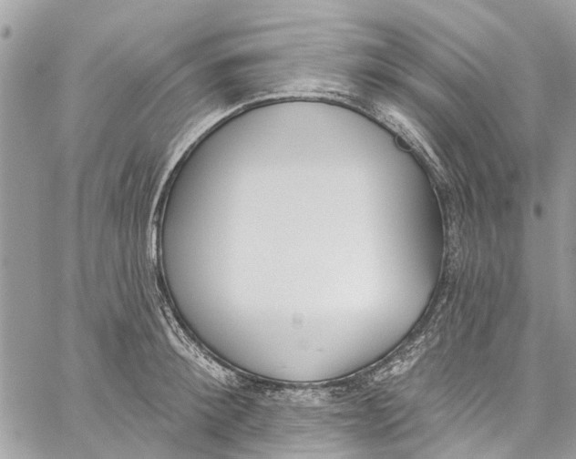 X0000060270900200511181416