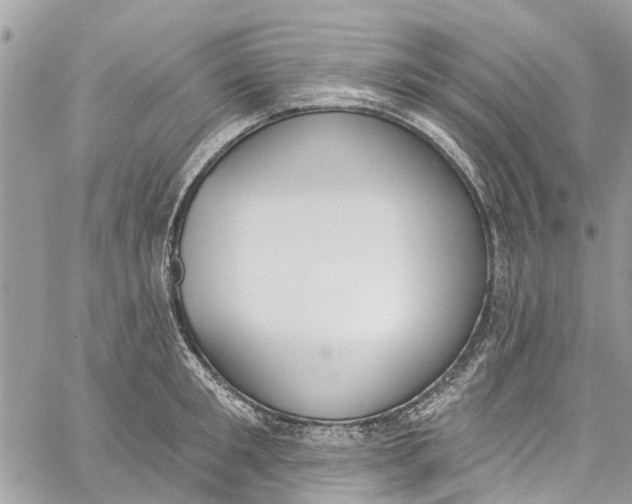 X0000060270901200511181416