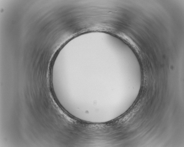 X0000060270902200511181416