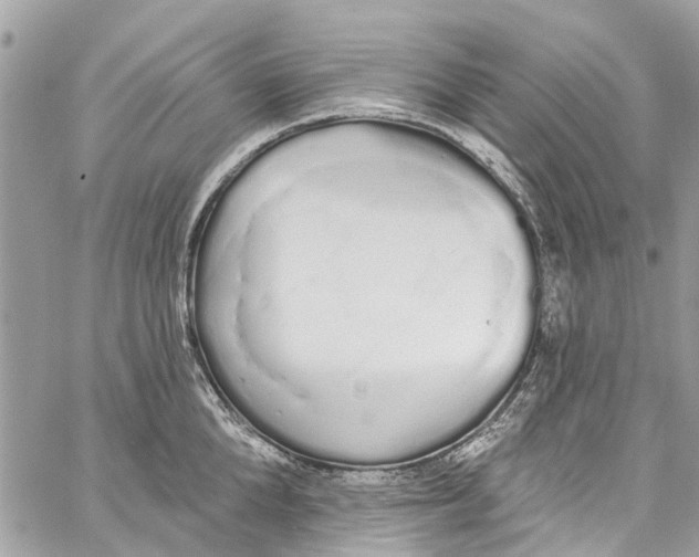 X0000060270904200511181416