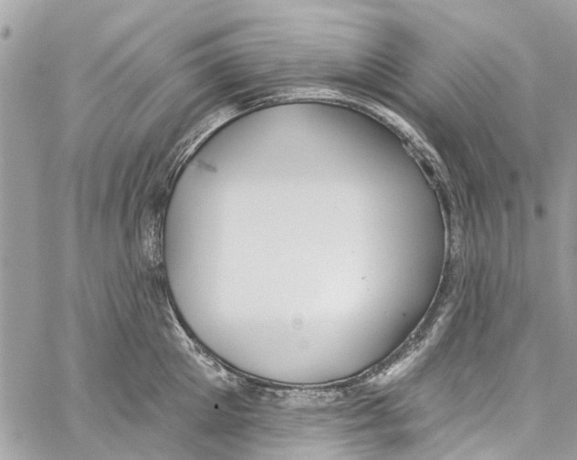 X0000060270905200511181416