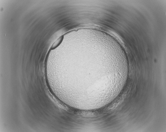 X0000060270907200511181416