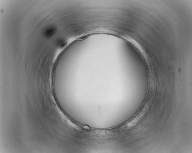 X0000060270910200511181416