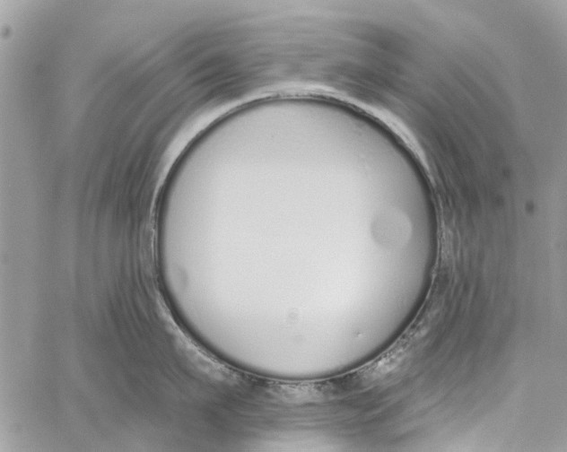 X0000060270911200511181416