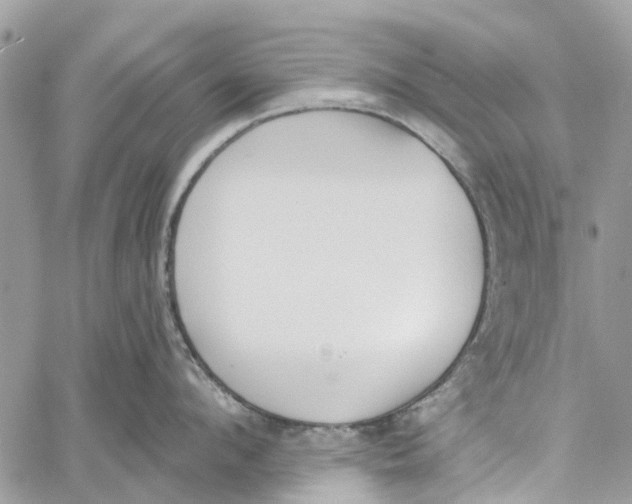 X0000060270912200511181416