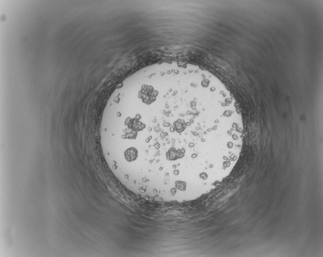 X0000060270913200511181415