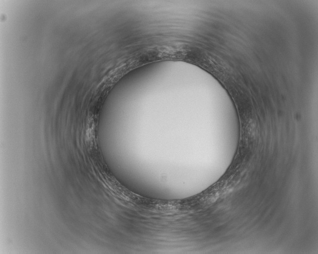 X0000060270914200511181415