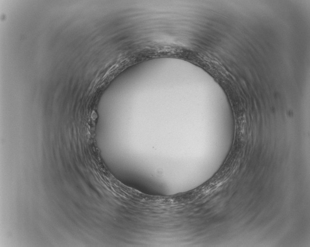 X0000060270916200511181415