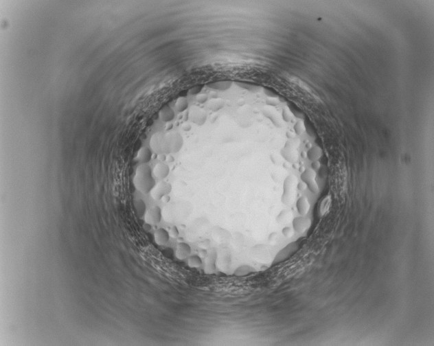 X0000060270917200511181415