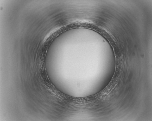 X0000060270919200511181415